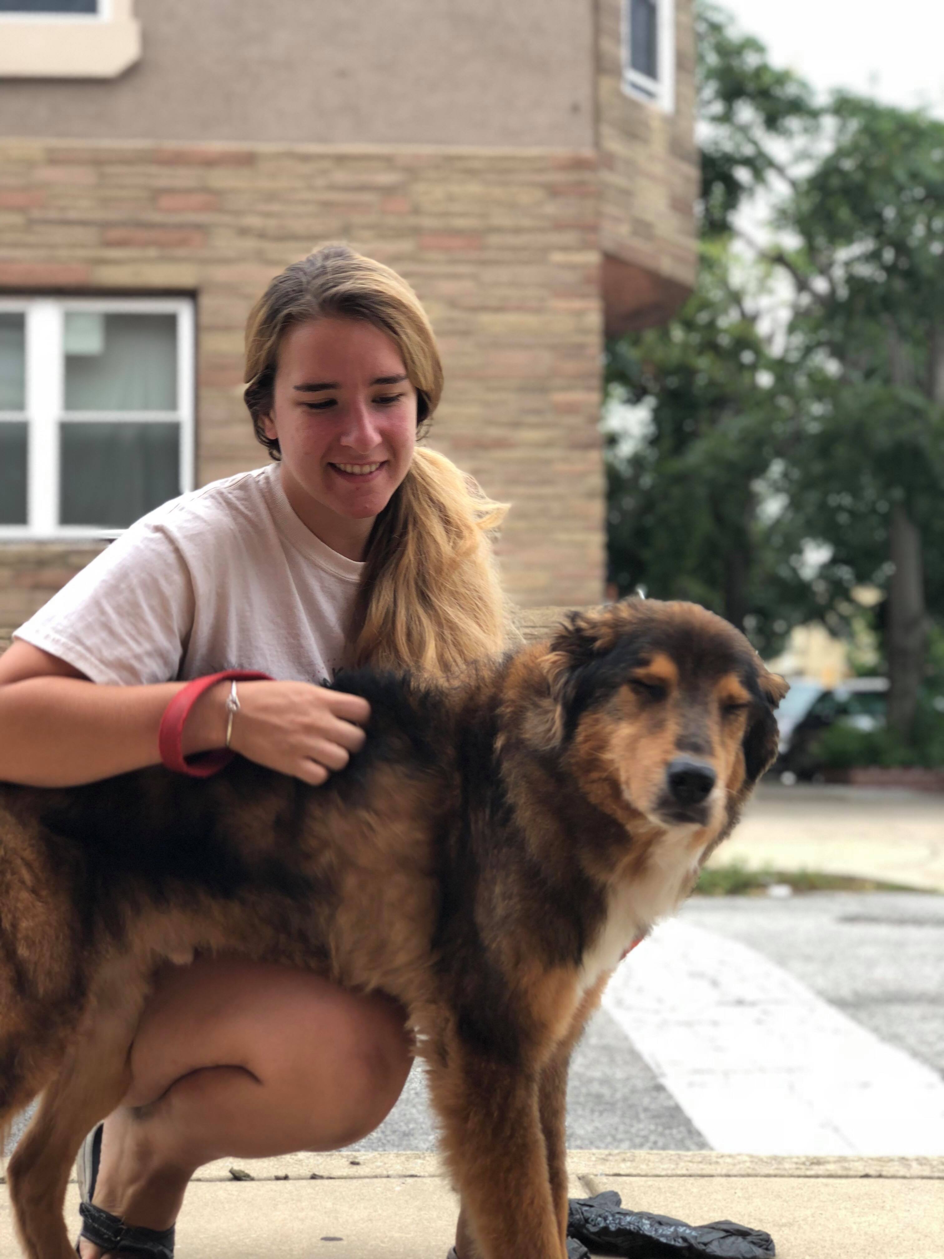 BarkPark Philly LLC's Photo