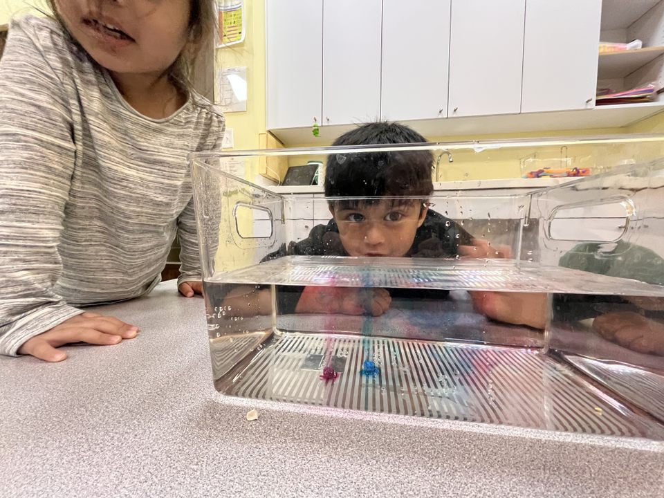Snapdragon Preschool's Photo