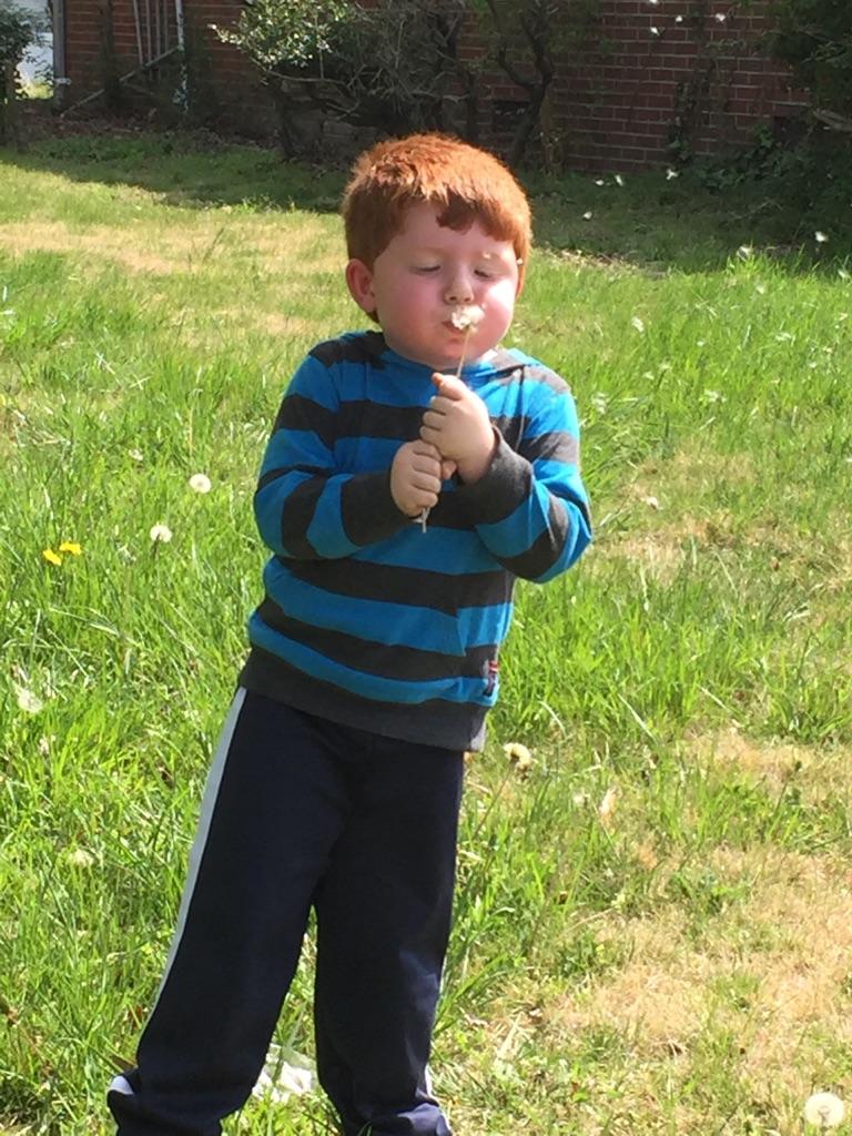 Pitter Patter Playhouse's Photo