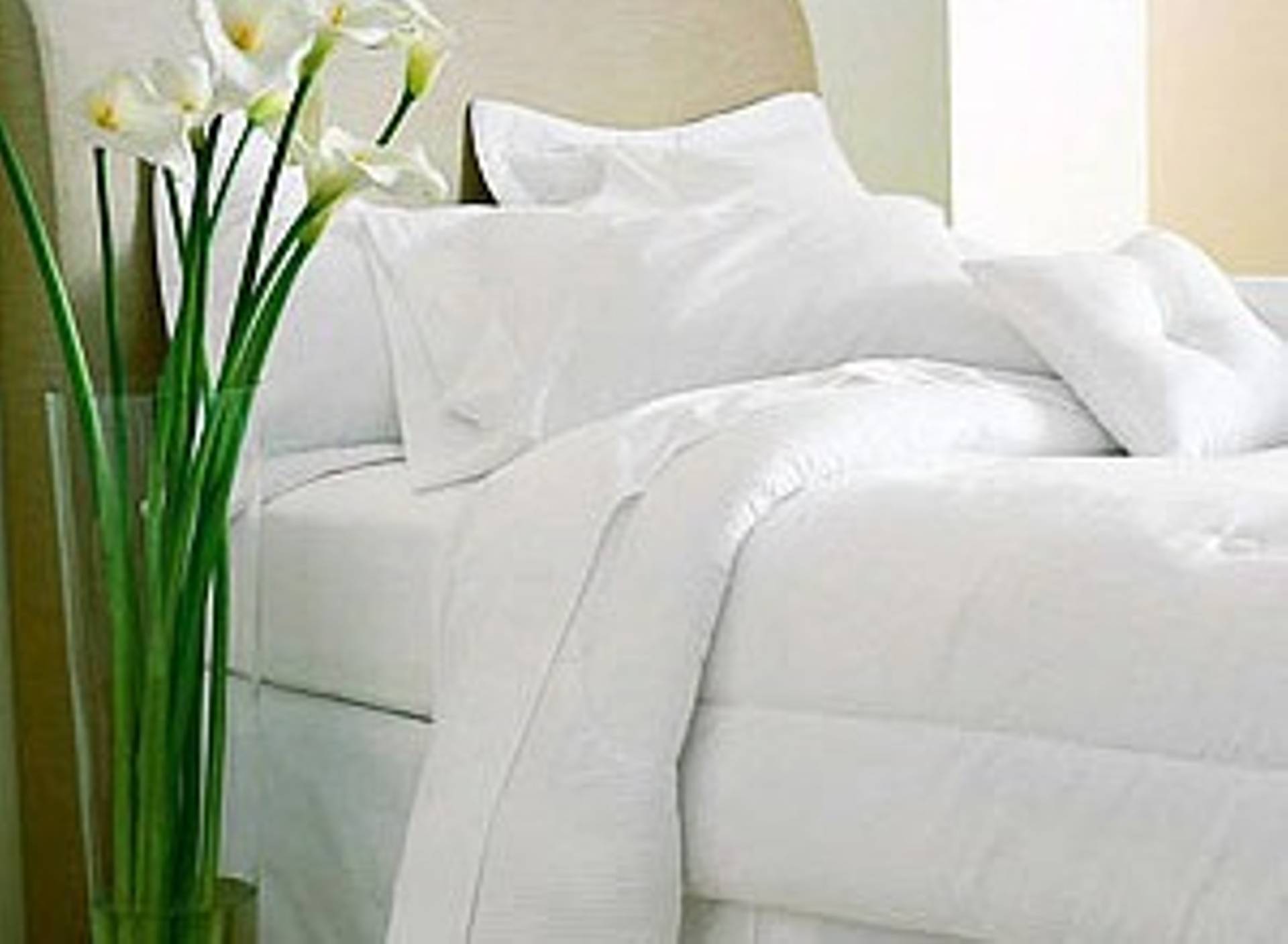 Nahli's Cleaning Service's Photo