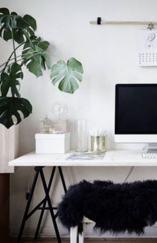 Pristine Clean's Photo