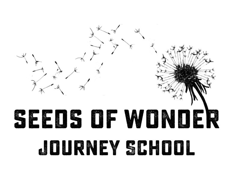 Seeds Of Wonder Journey School Logo