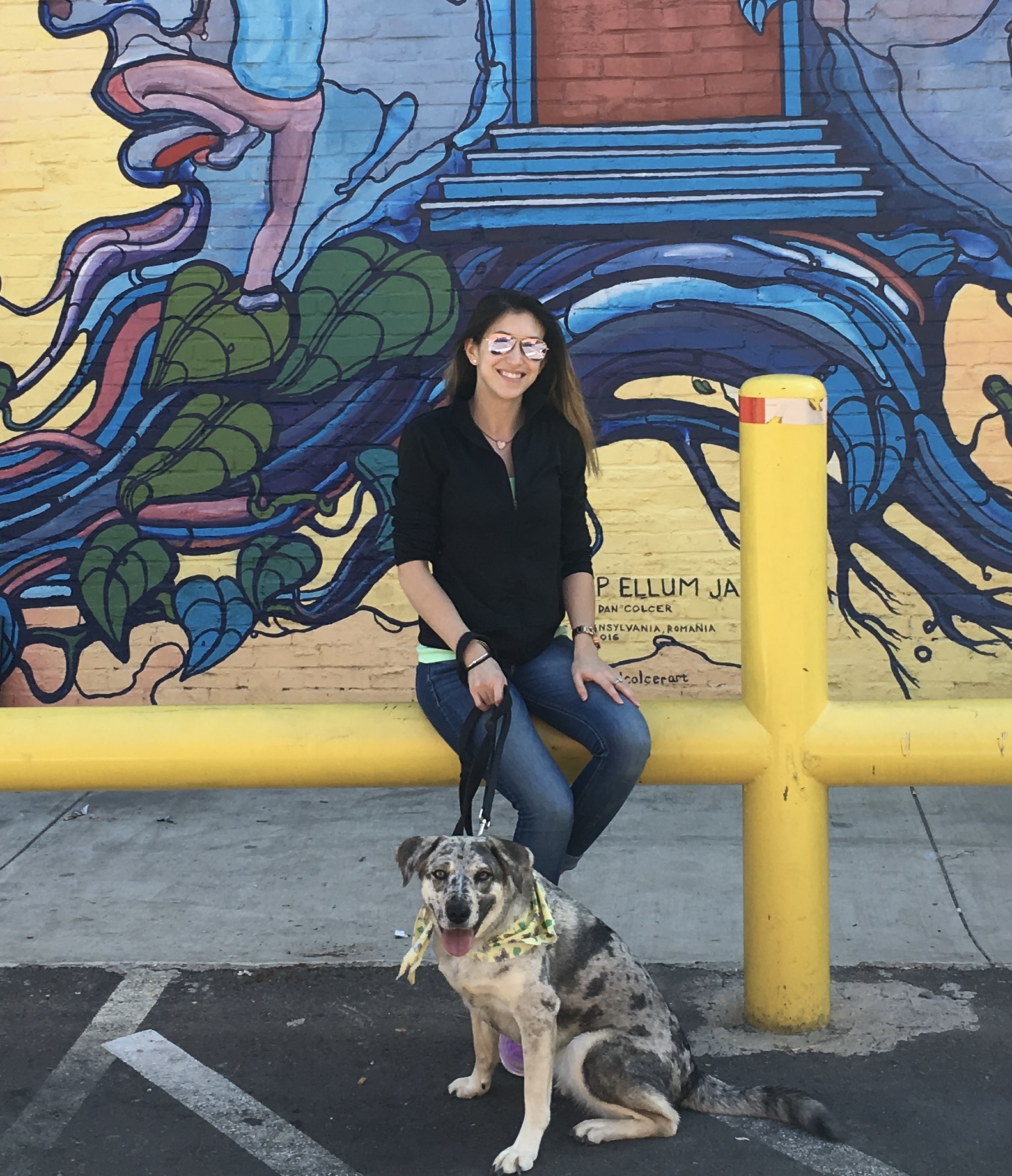 A&K Pet Kare's Photo