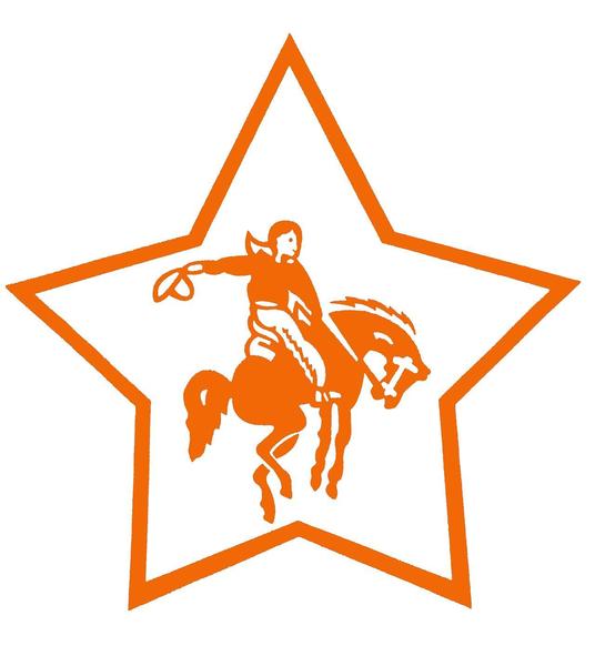 Camp Stewart For Boys Logo