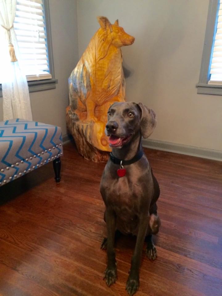 Little's Playhouse's Photo