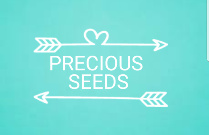 Precious Seeds Daycare Logo