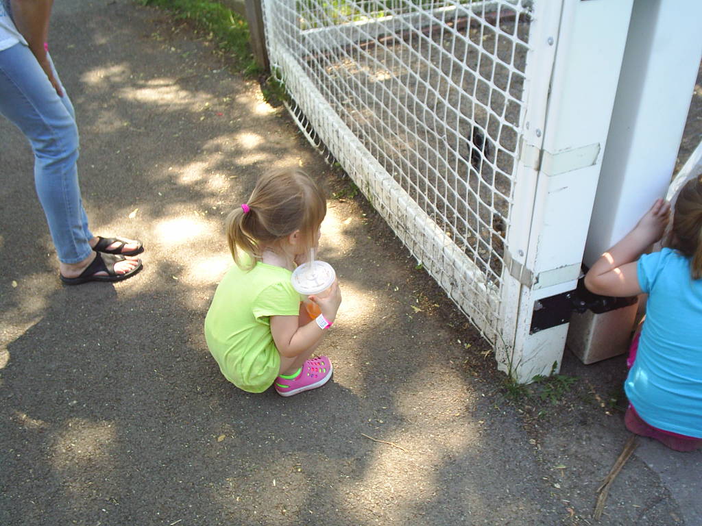 Christian Child Care's Photo
