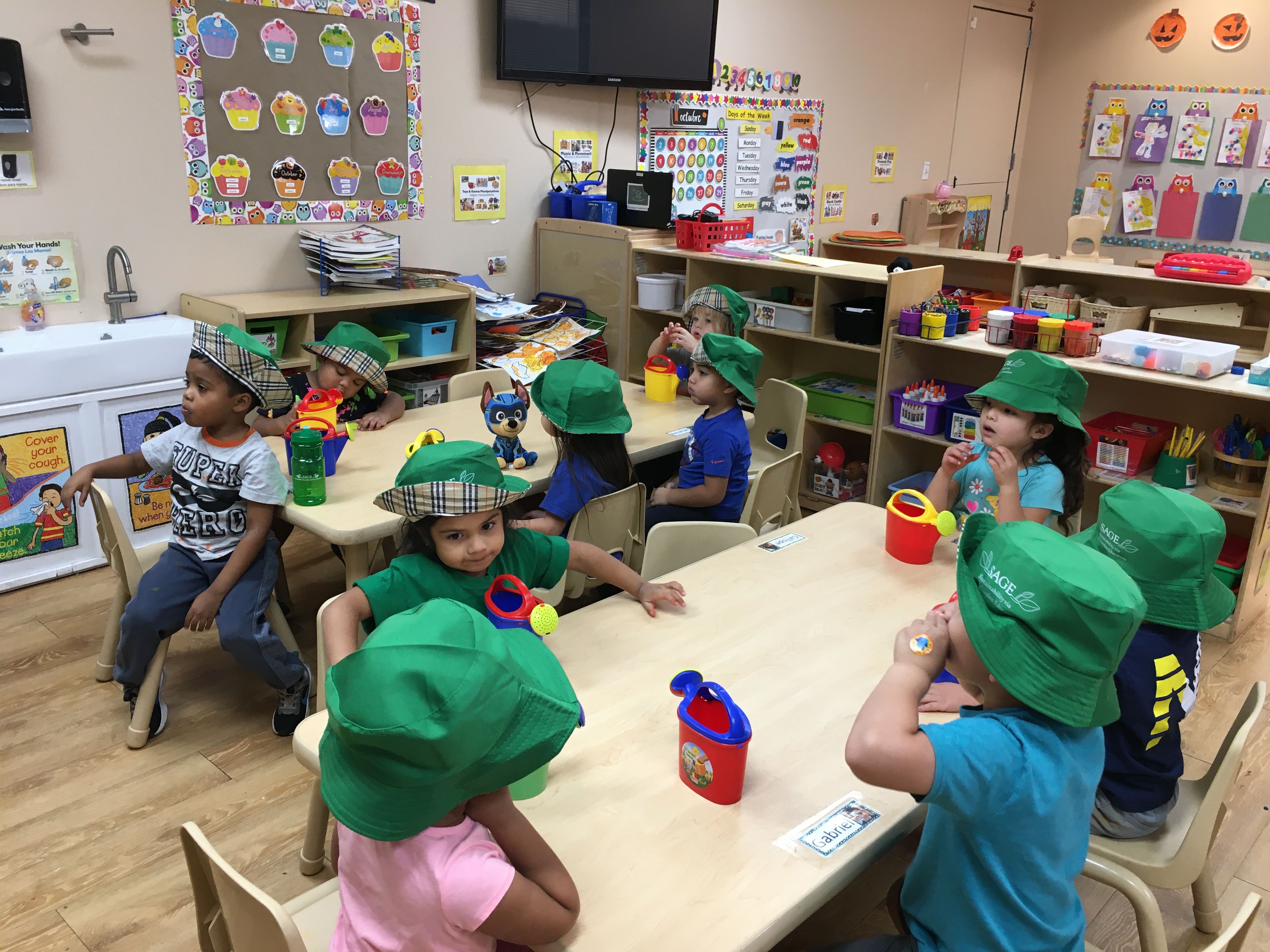 My Little School's Photo