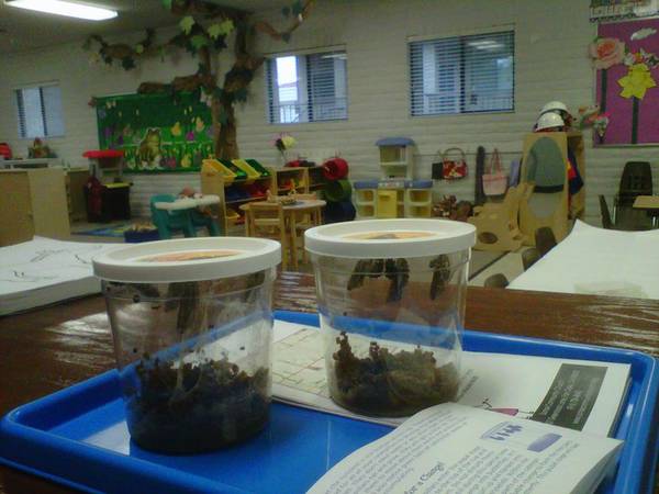 Sunrise Community Church Preschool's Photo