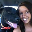 Barks and Meows Pet Sitting
