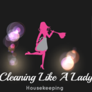 Cleaning Like A Lady