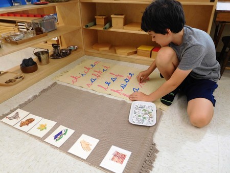 Gateway Montessori School