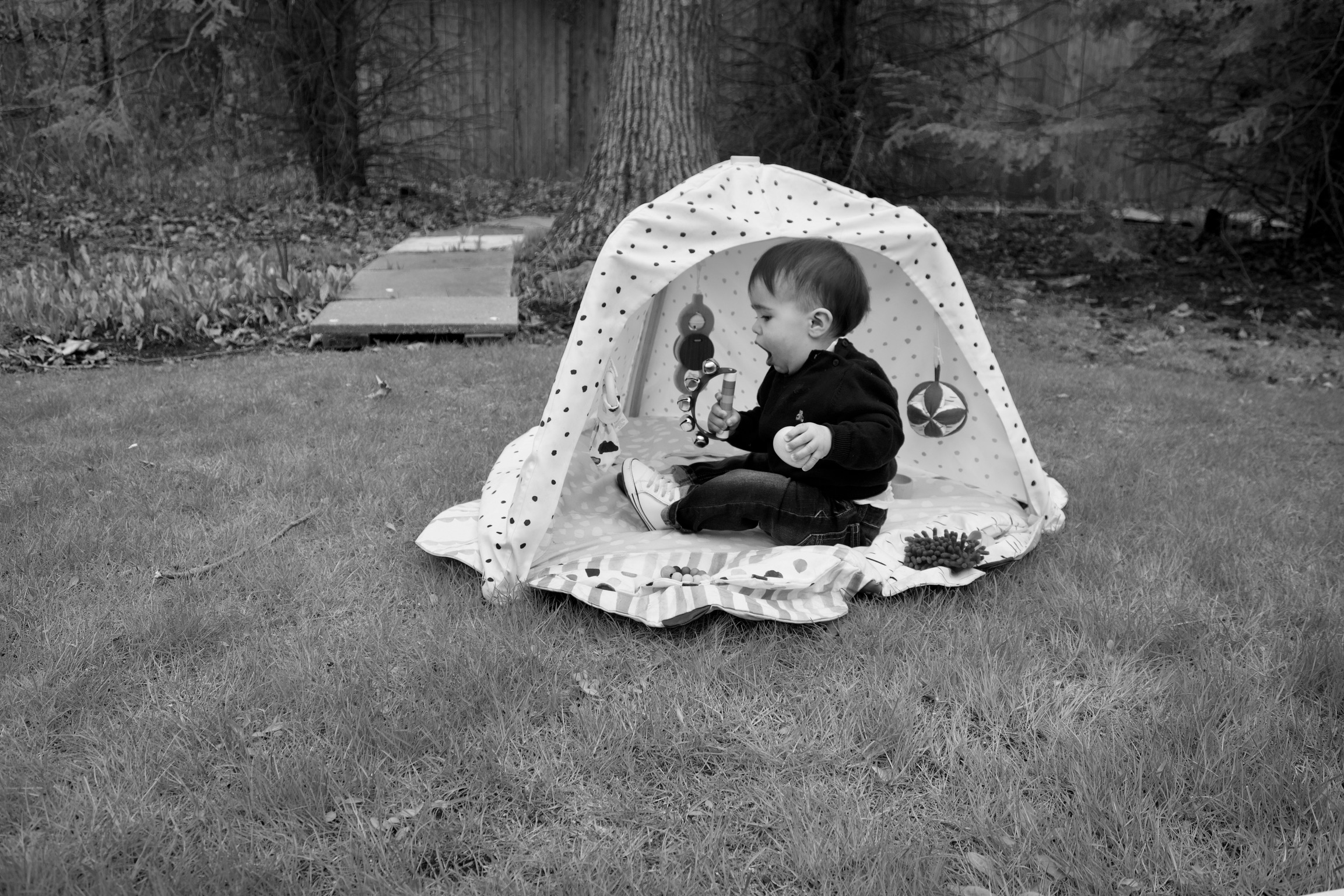 Wild Grace Nursery School's Photo