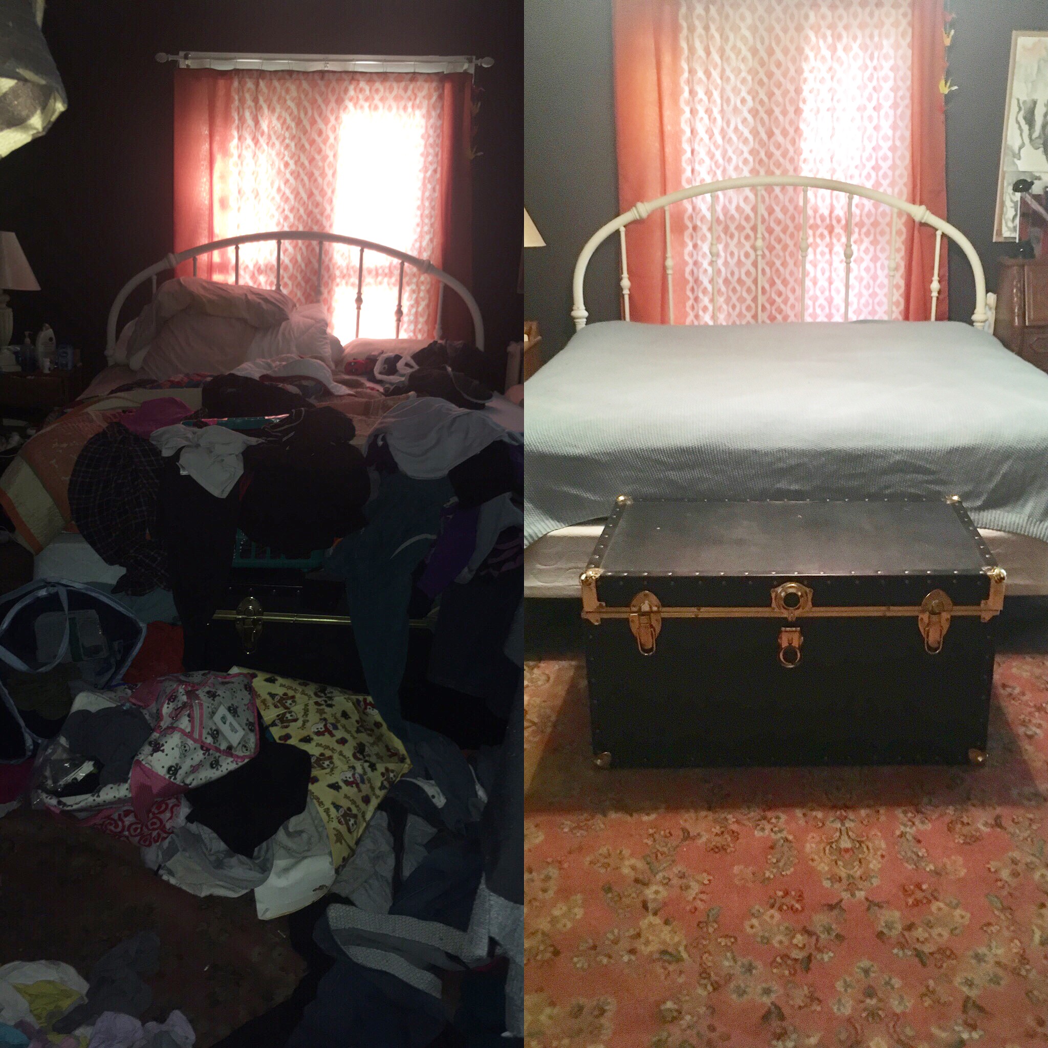 Pristine Clean's Photo