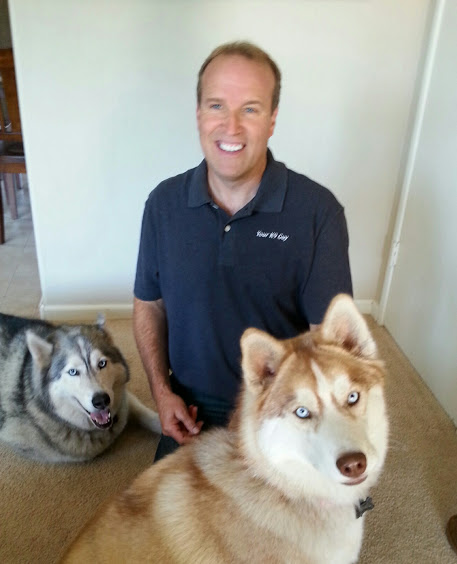 Your K9 Guy Dog Training's Photo