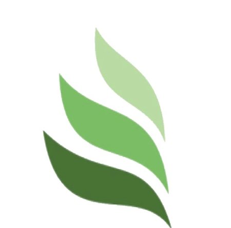 Jersey Green Cleaning LLC's Photo
