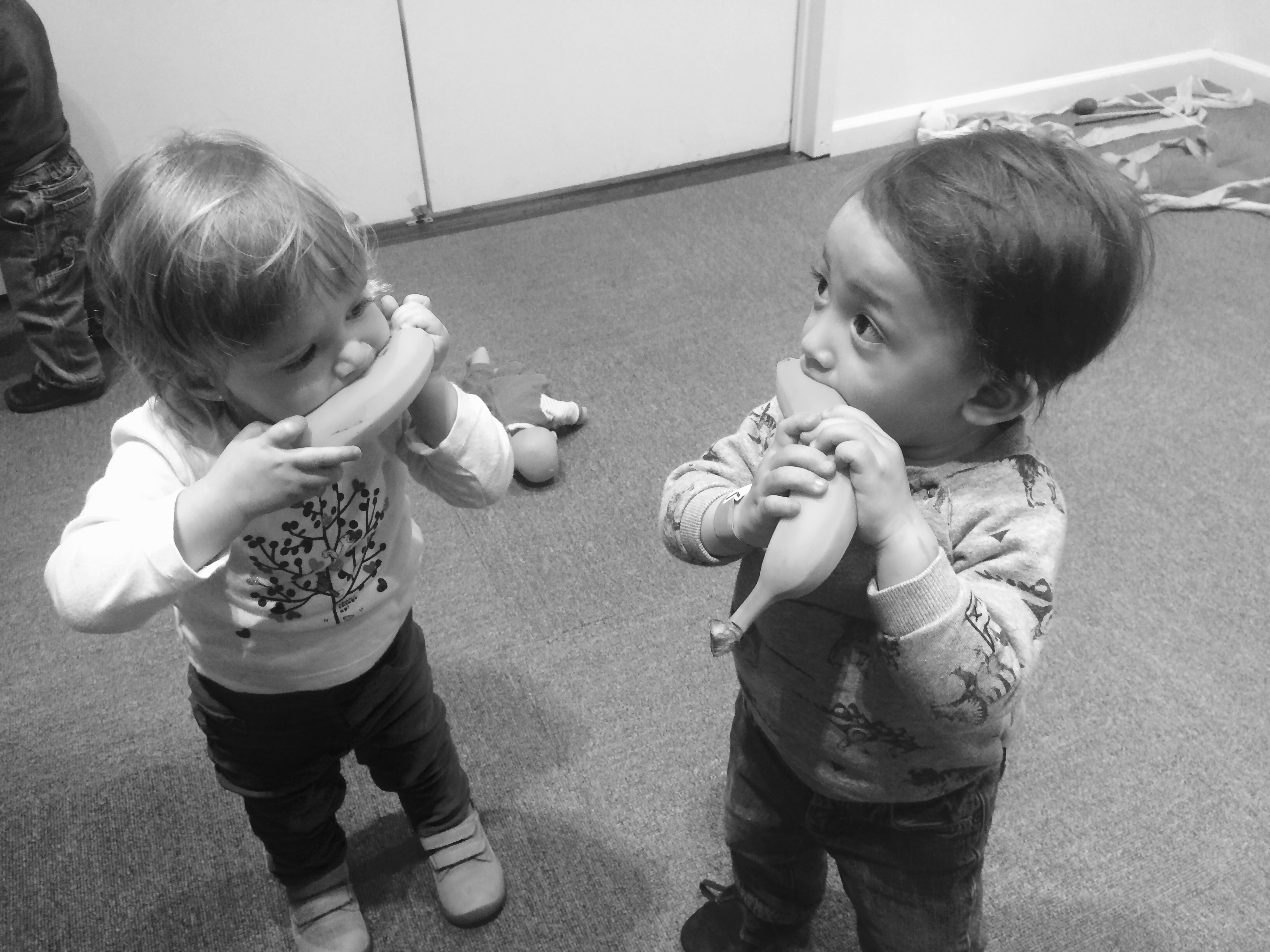 Vibrance Program's Photo