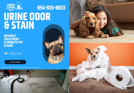 Carpet Cleaning Pompano Beach's Photo
