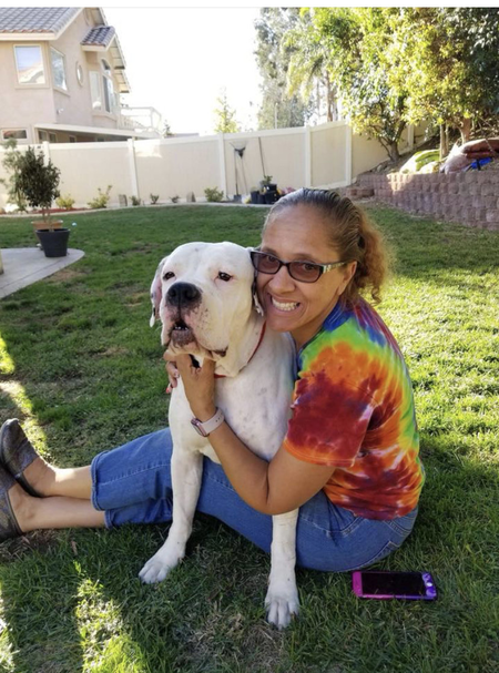 Shay's Dog Walking and Pet Care