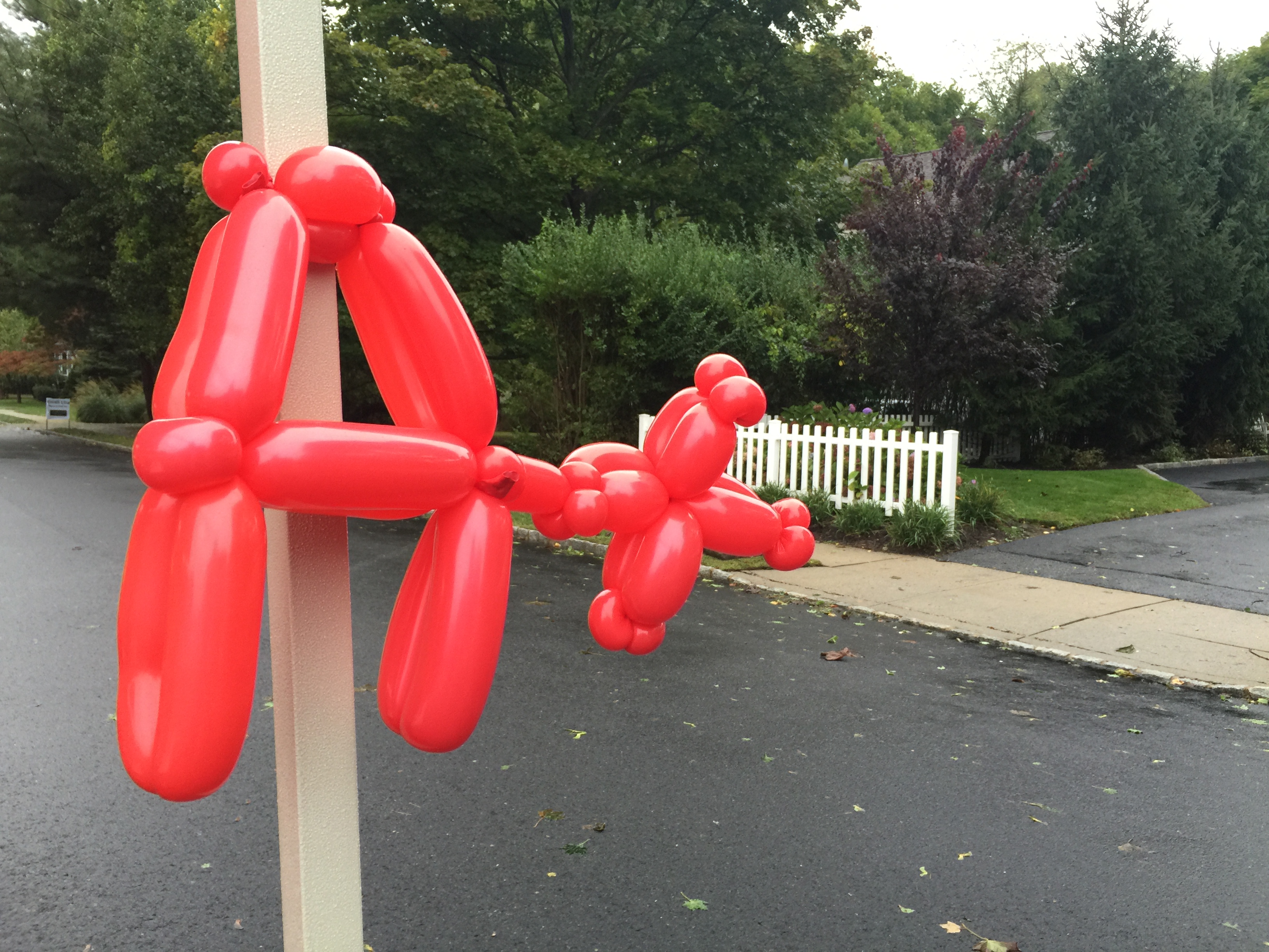 Mathnasium of Mendham's Photo