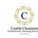 Castle Cleaners - Houston, TX