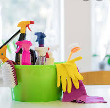 Paola House Cleaning Logo
