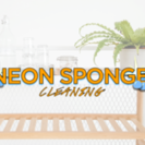 Neon Sponge Cleaning
