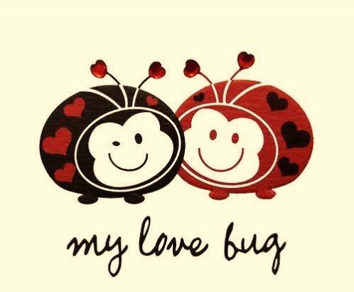 Love Bug Care's Photo
