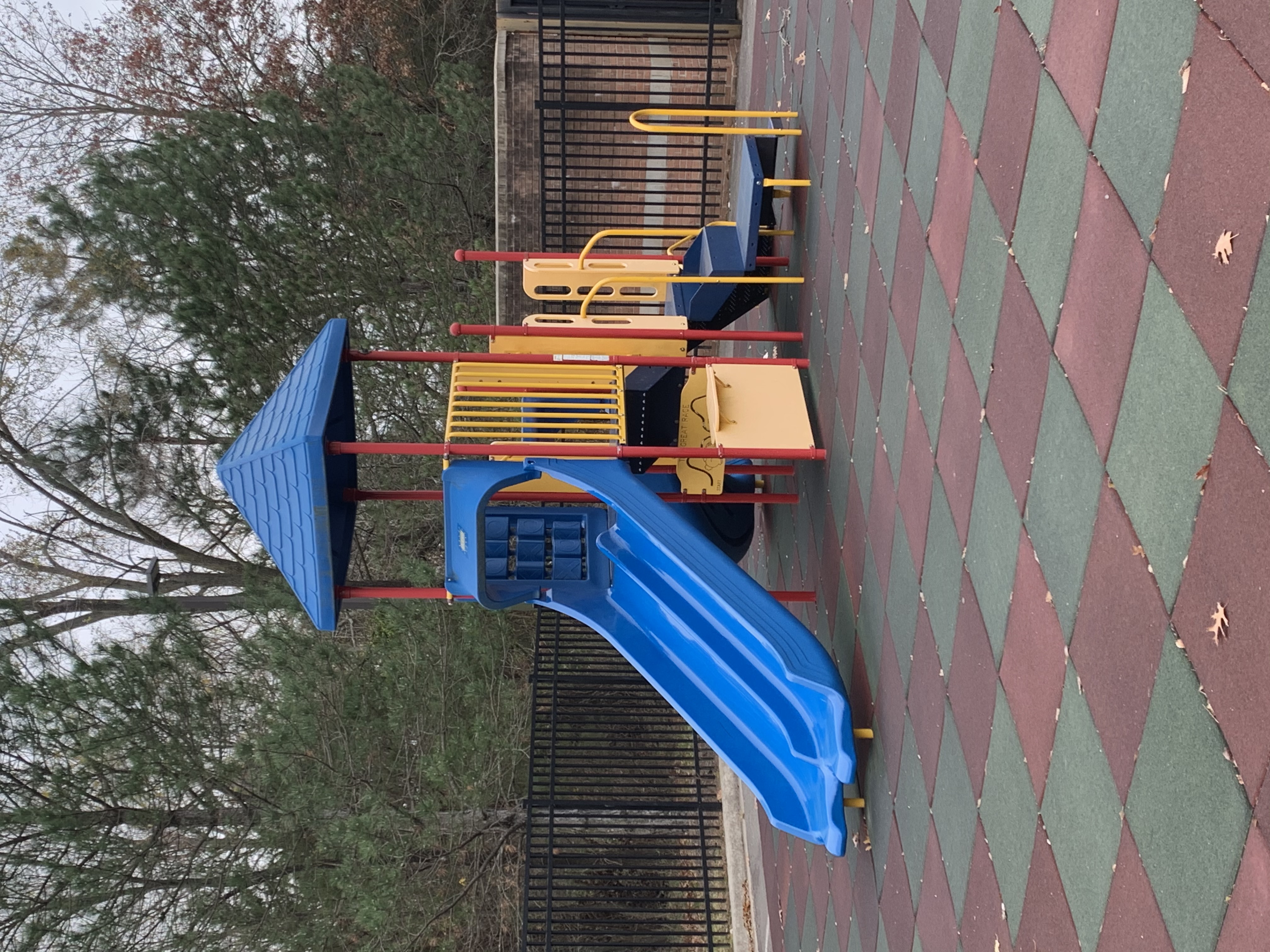 Freedom Montessori School's Photo
