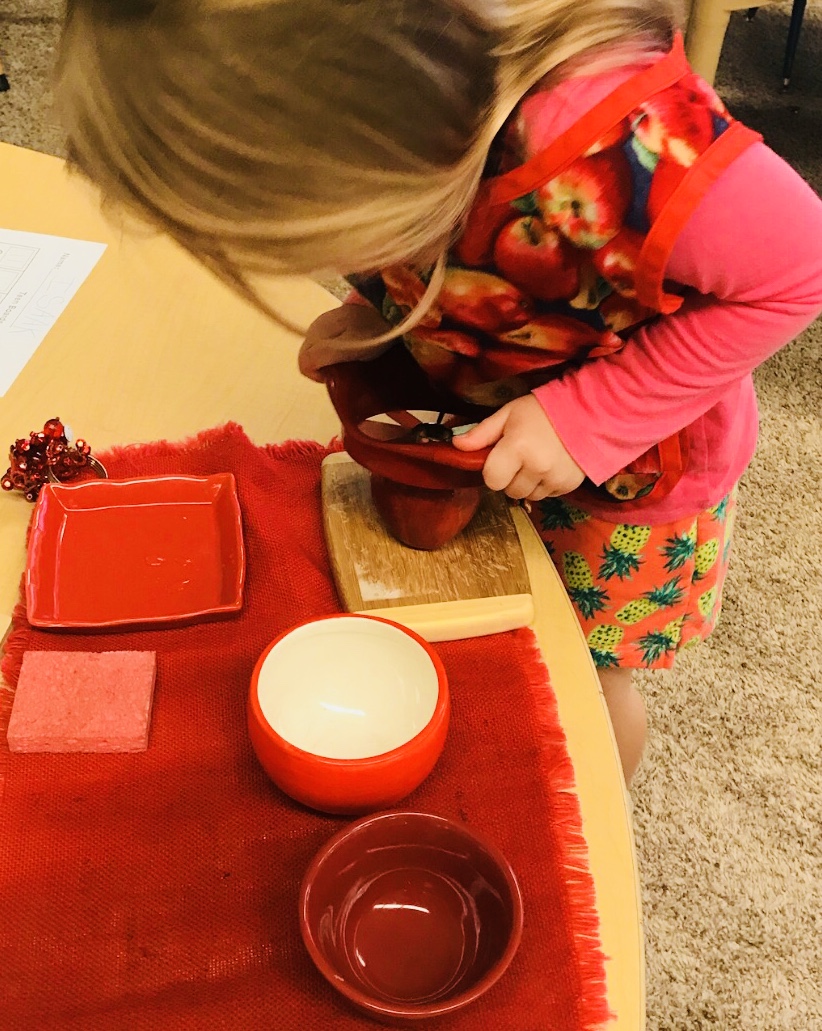 Prime Foundation Montessori's Photo