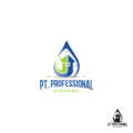Pt  Professional Cleaning
