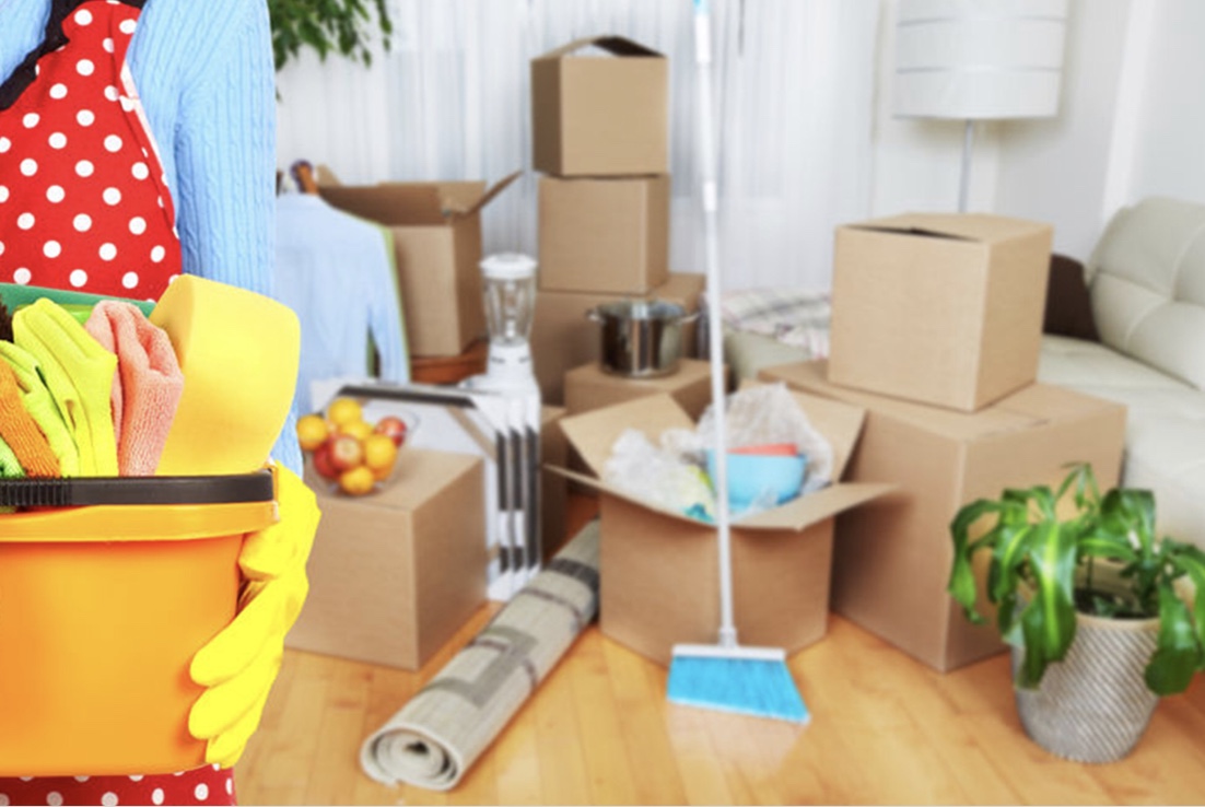 Lady Magic Cleaning's Photo