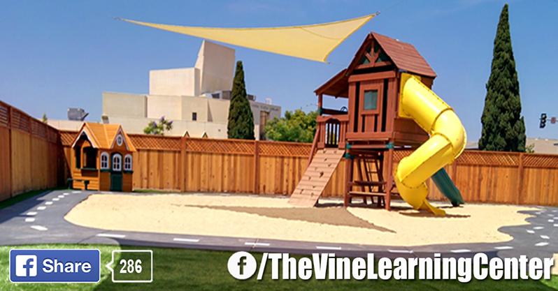 The Vine Learning Center Inc. Logo