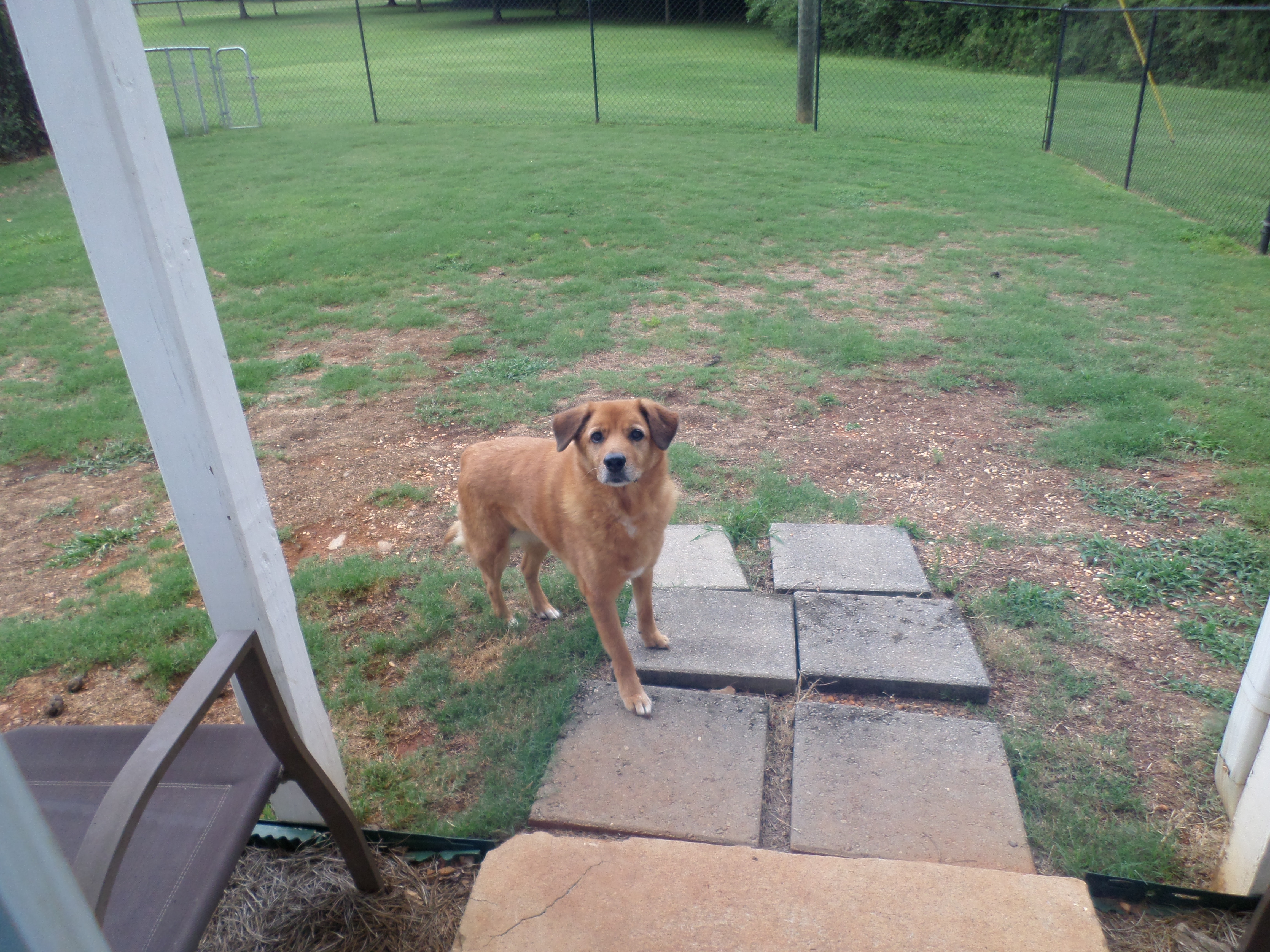 Critter Care Plus's Photo