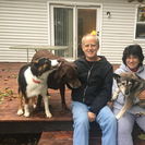 Fetch! Pet Care of Ann Arbor/Saline/Clinton