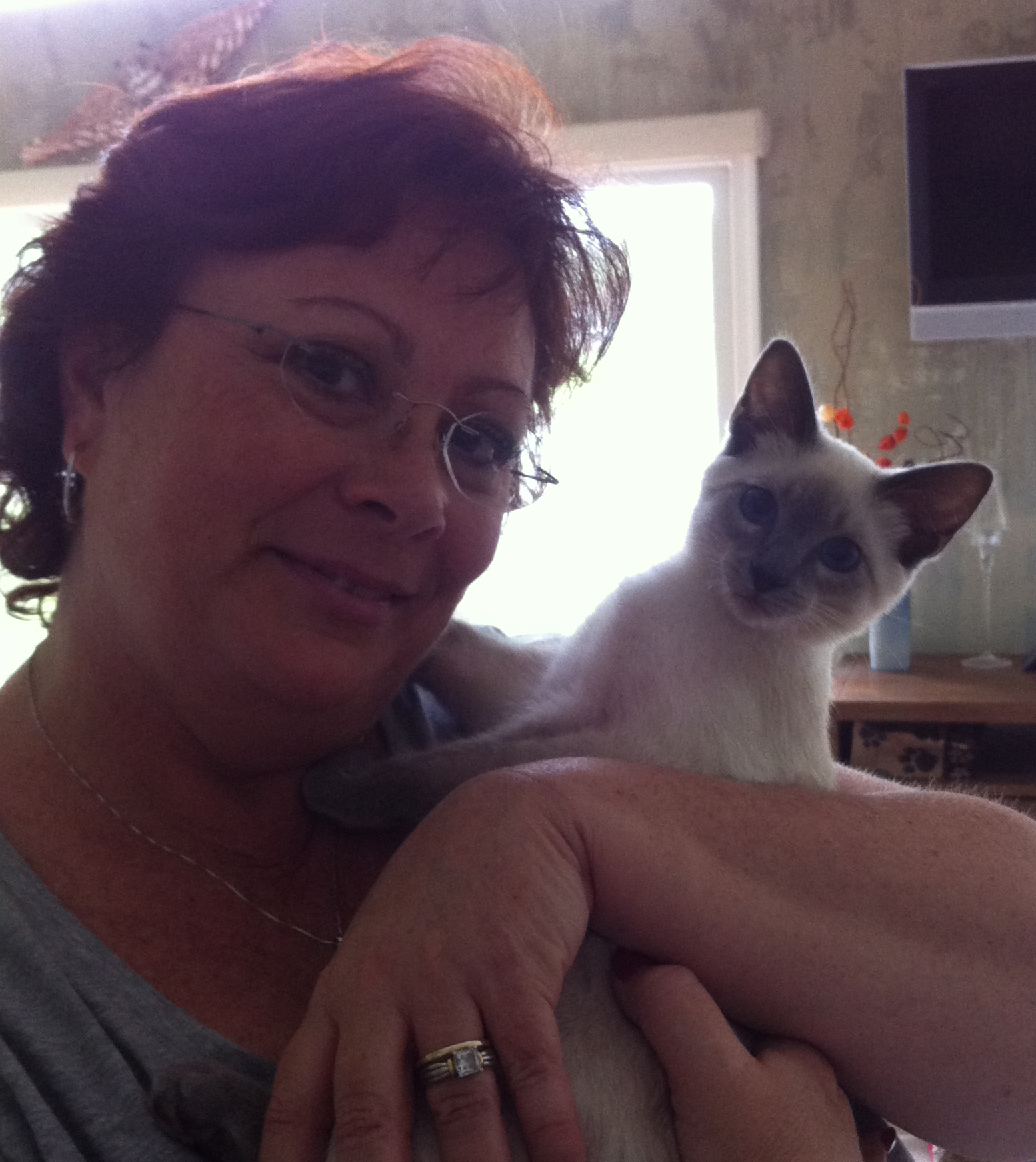 It's Raining Cats & Dogs's Photo