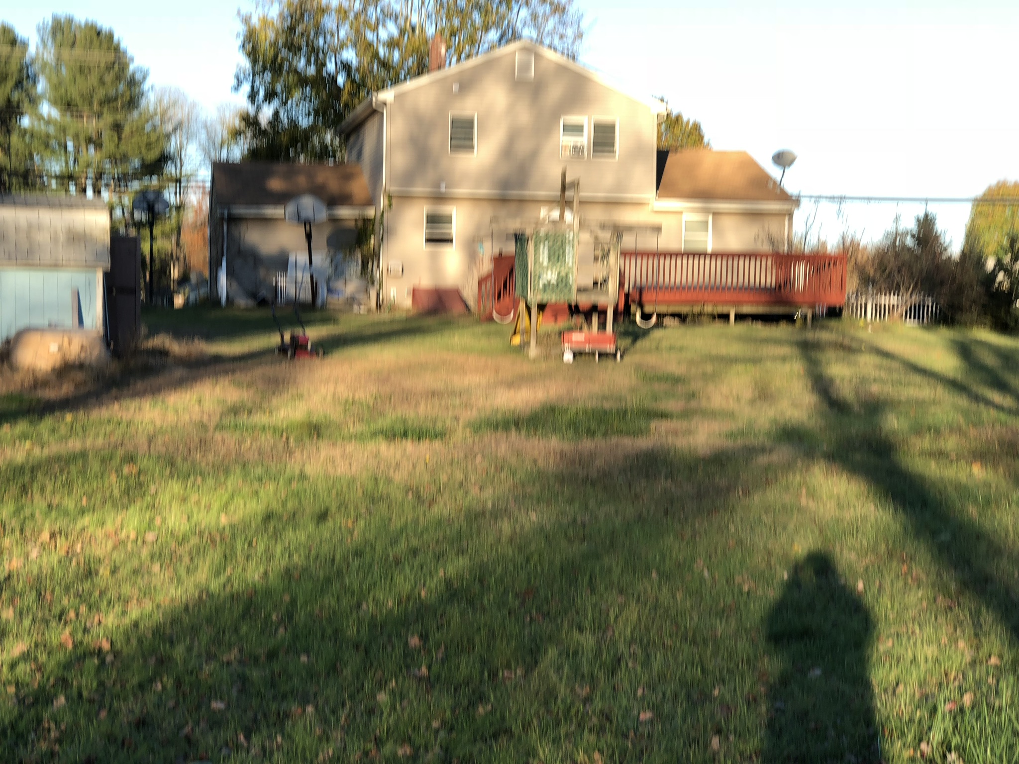 Adrian Cleaning Services's Photo