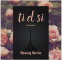 Ti El Si Cleaning Service