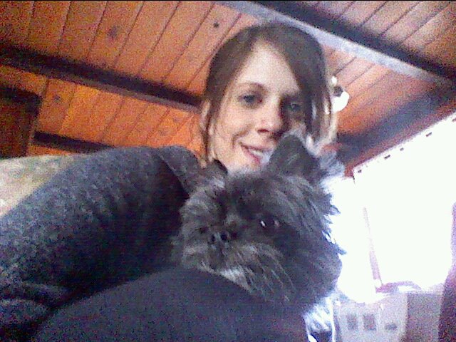 J&M Dog Training's Photo