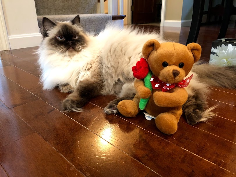 M&M Pet Care's Photo