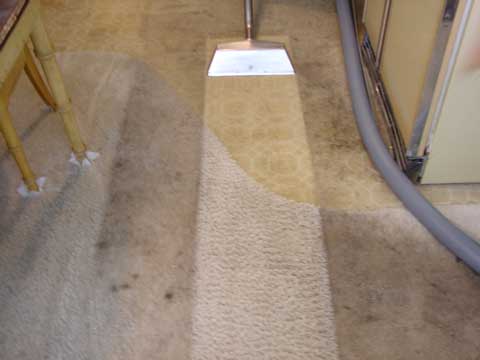 City Scrubbers's Photo