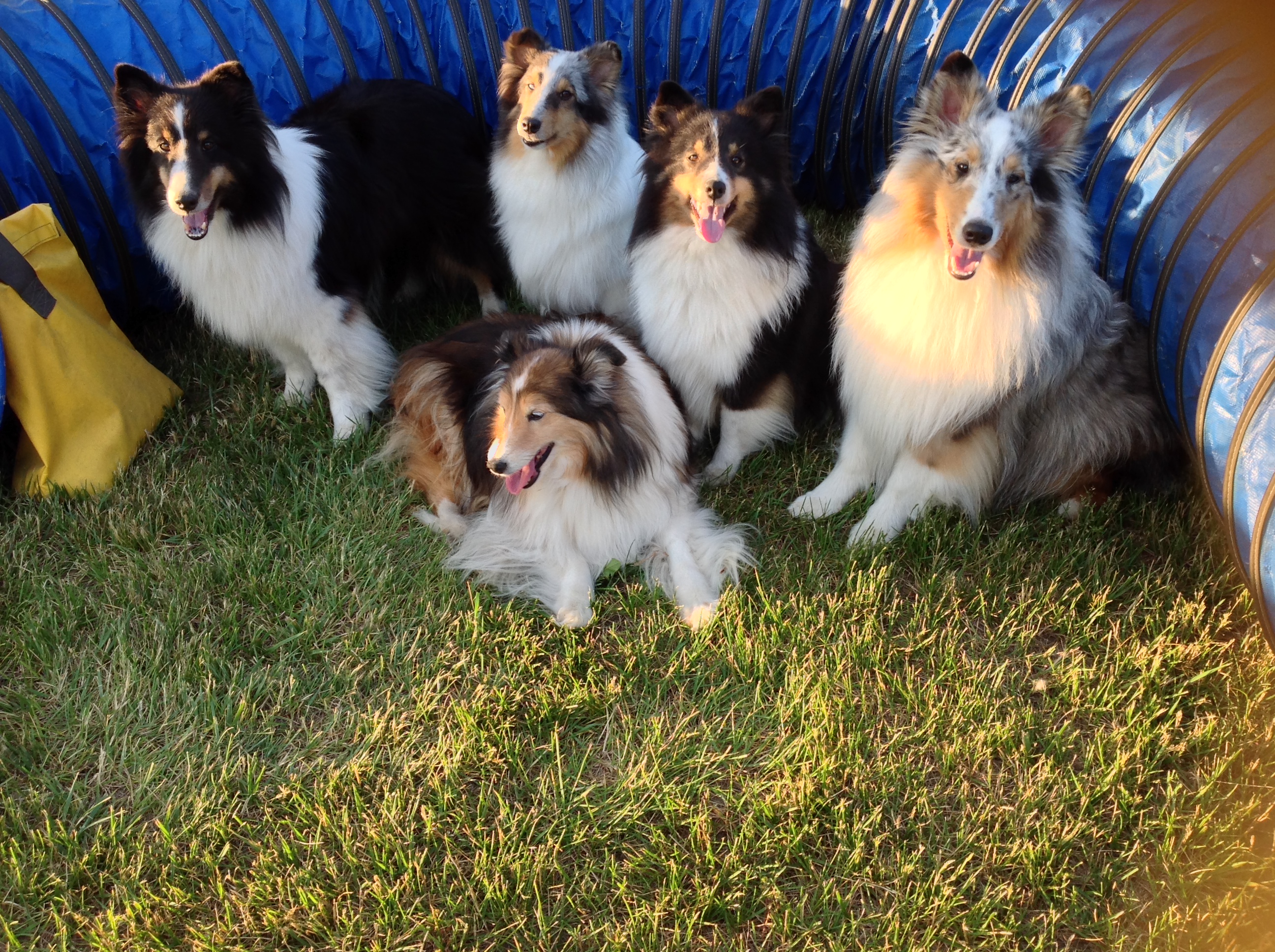 Branis Board and Groom's Photo