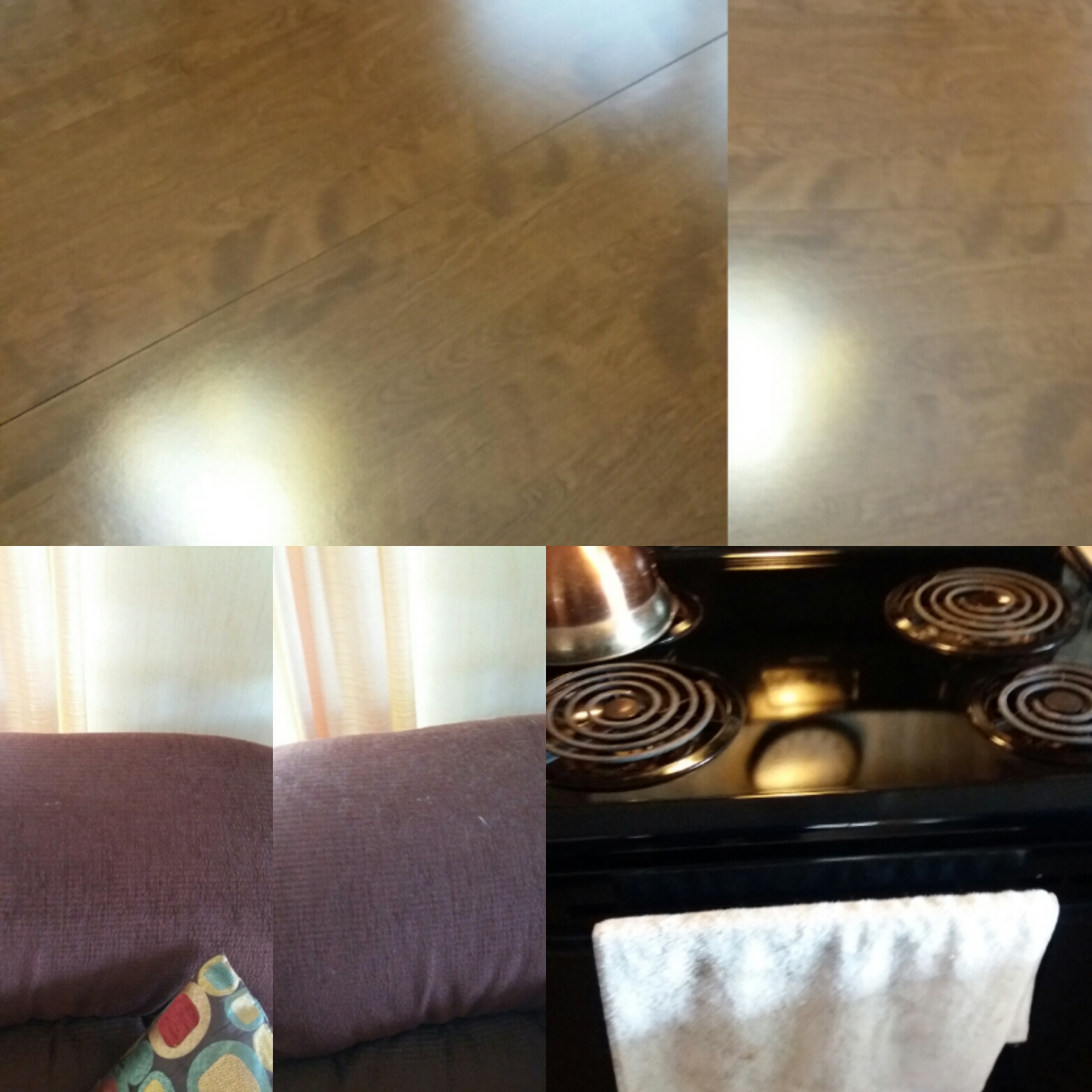 New provider's Photo