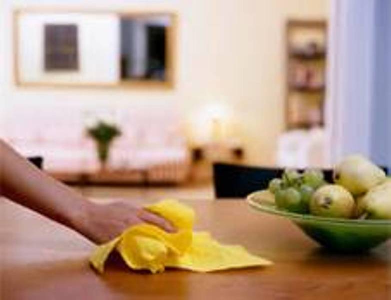 Nahli's Cleaning Service Logo