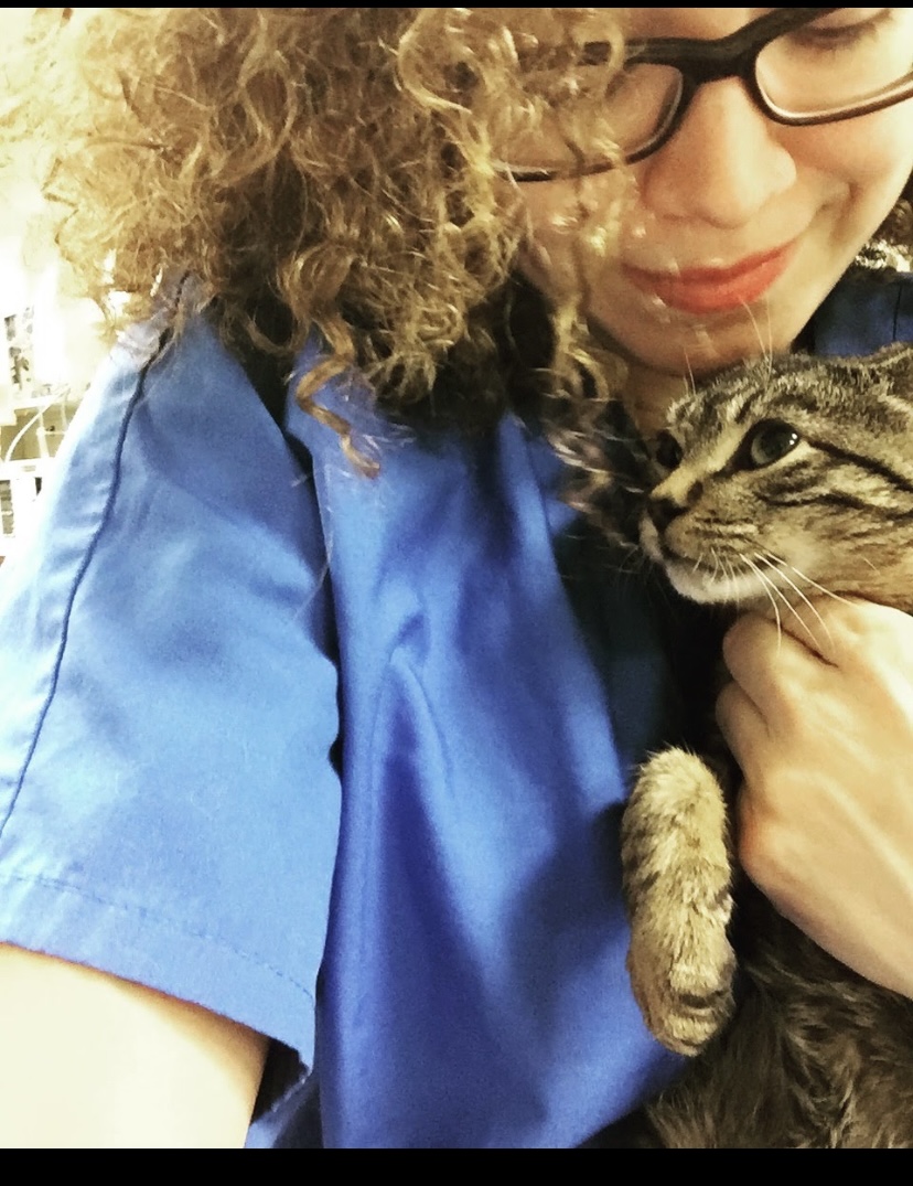 Pets Home Away From Home L.L.C's Photo