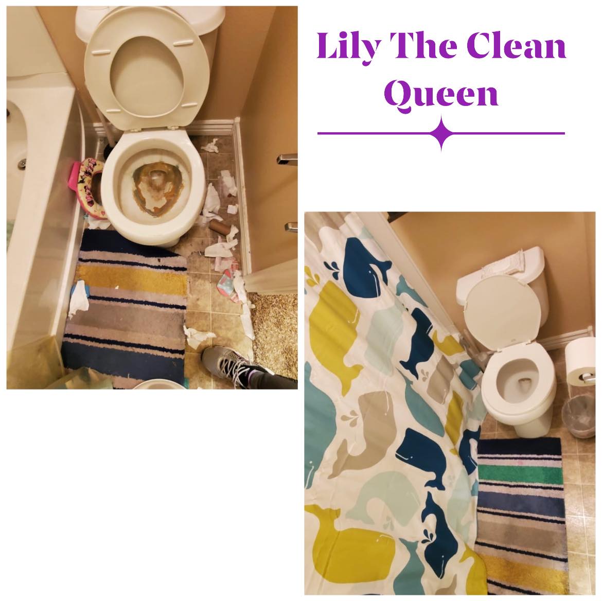 Lily The Clean Queen's Photo