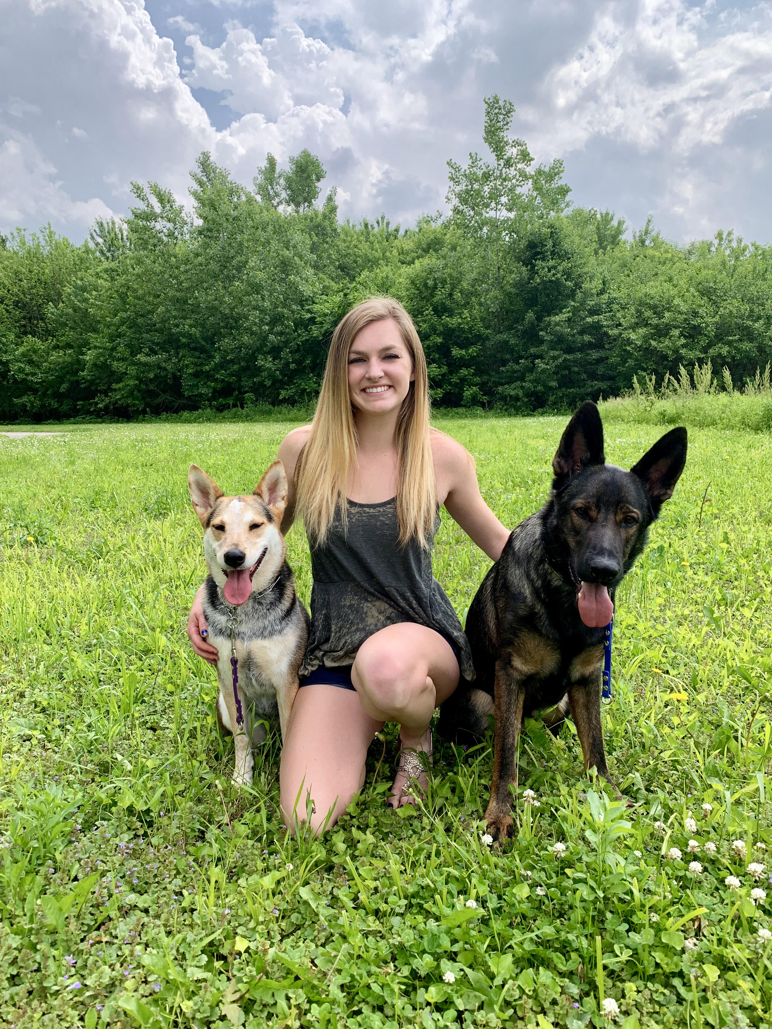 Joint Forces K9 Group's Photo