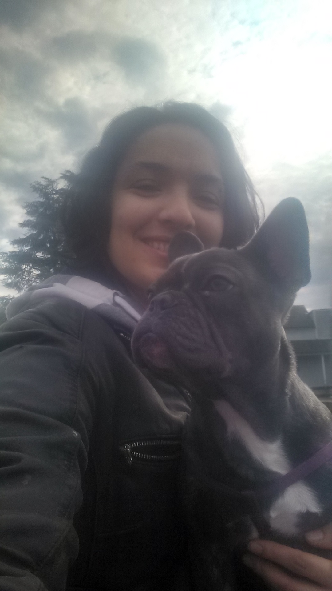 Seattle Dog Zen's Photo