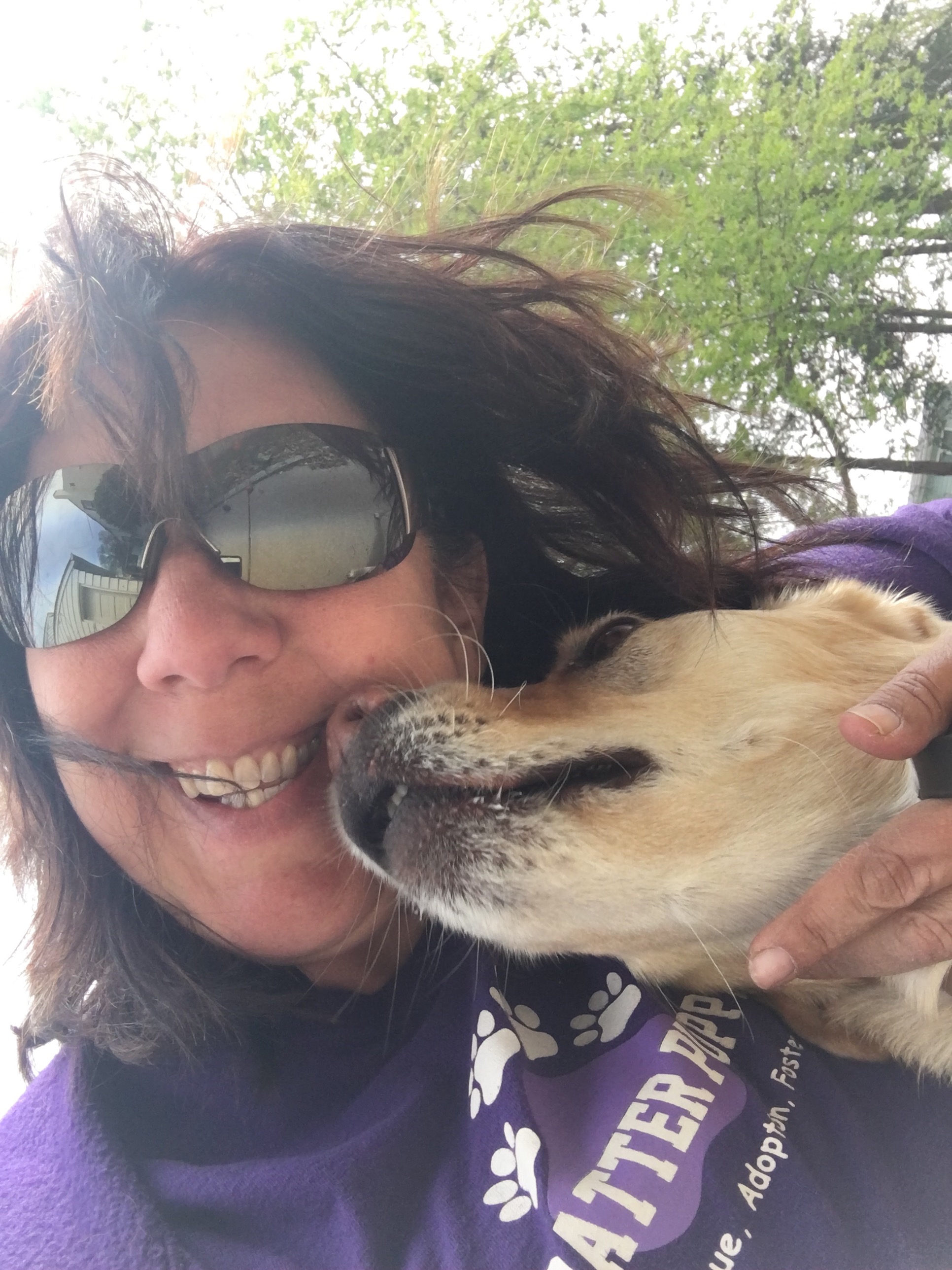 Pitter Patter Puppy House Resort's Photo