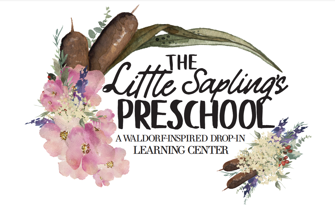 The Little Saplings Preschool Logo